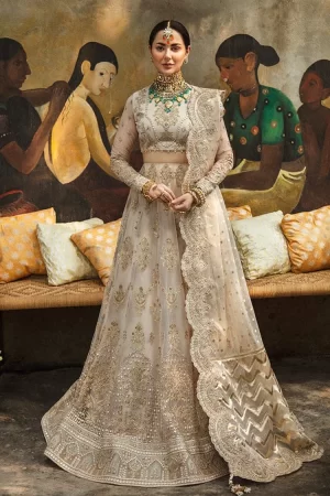 Afrozeh Wedding Collection